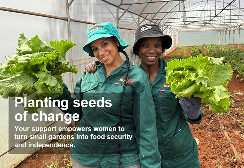 Women's Month